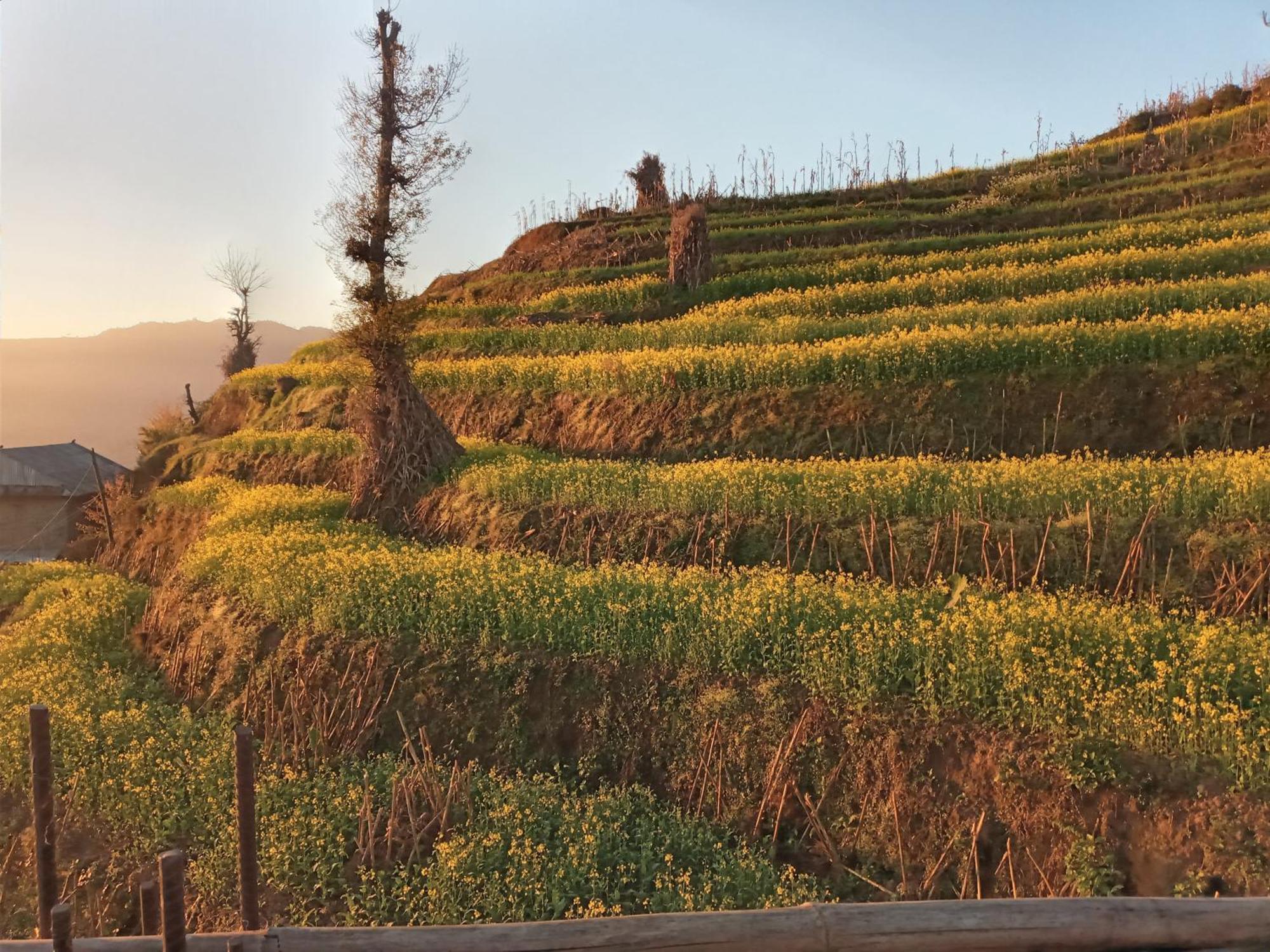 Unique Point Home Stay Nagarkot Exteriér fotografie
